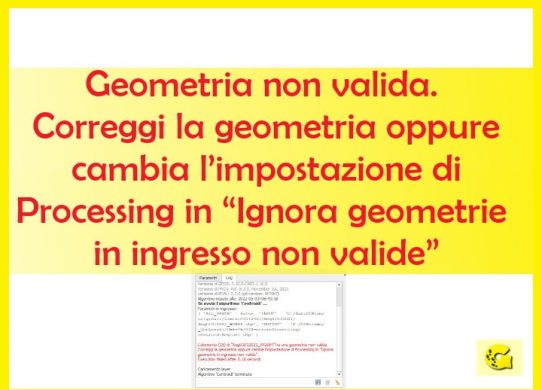 Geometria non valida. Correggi la geometria oppure cambia l’impostazione di Processing in “Ignora geometrie in ingresso non valide”